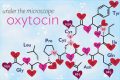 L'Ossitocina è davvero l'ormone dell'amore?