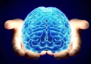 Il Cervello: I Segreti della Memoria