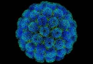 Scienziati Svedesi: I Virus ci rendono più intelligenti