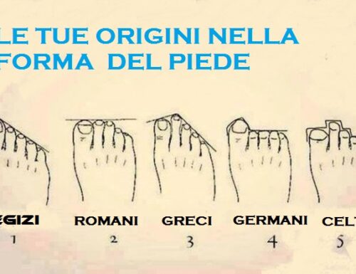 Le tue origini nella forma del piede