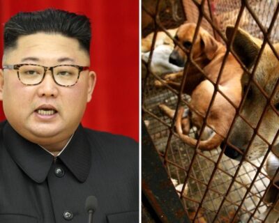 Kim Jong Un confisca i cani domestici: possono possederli solo i borghesi