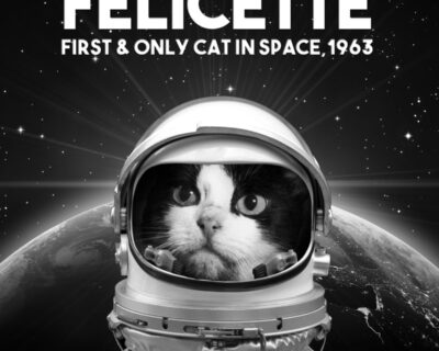 Felicette, la prima gatta ad andare sullo spazio, entusiasmante, non per lei